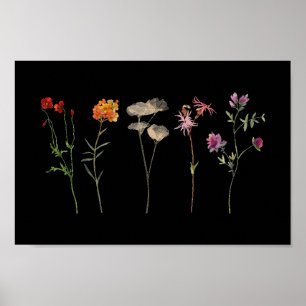 Schwarze Wildblume Lesbische Mauer Poster