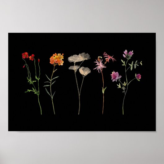 Schwarze Wildblume Lesbische Mauer Poster (Vorne)