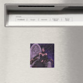 Schwarze Witwe Magnet (In Situ (Geschirrspüler))