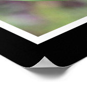 Schwarze Witwe Poster (Ecke)