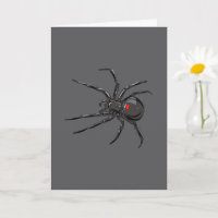 Schwarze Witwe Spider Originelle Zeichnend Kunst