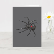 Schwarze Witwe Spider Originelle Zeichnend Kunst