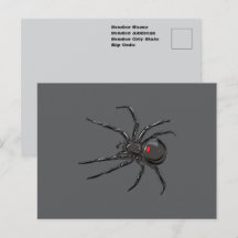Schwarze Witwe Spider Originelle Zeichnend Kunst