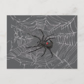 Schwarze Witwe Spiderweb Zeichnend Kunst Postkarte (Vorderseite)