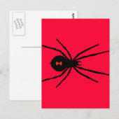 Schwarze Witwe-Spinne Postkarte (Vorne/Hinten)