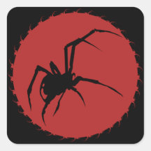 Schwarze Witwe-Spinne