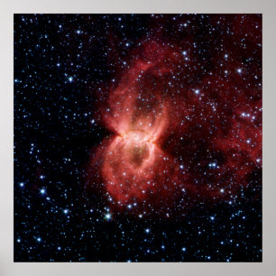 Schwarze Witwen-Nebelfleck-Plakat Poster