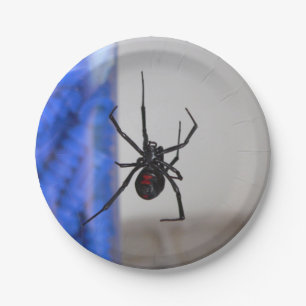 Schwarze Witwen-Spinne Pappteller
