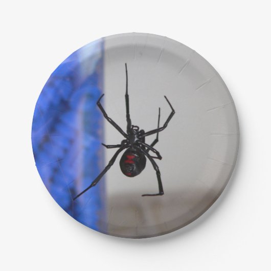 Schwarze Witwen-Spinne Pappteller (Vorderseite)