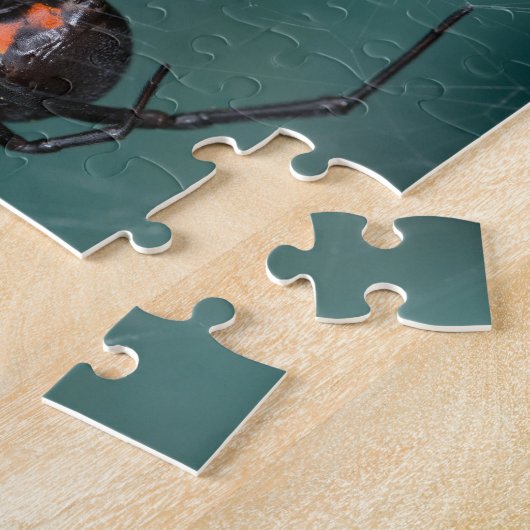 Schwarze Witwen-Spinne Puzzle (Seite)