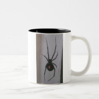 Schwarze Witwen-Spinne