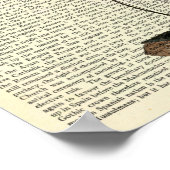 Schwarze Witwenspinne, Gotik, Natur, Arachnophobie Poster (Ecke)