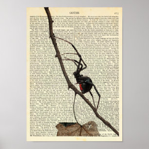 Schwarze Witwenspinne, Gotik, Natur, Arachnophobie Poster