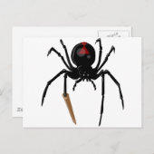 Schwarze Witwenspinne Postkarte (Vorne/Hinten)