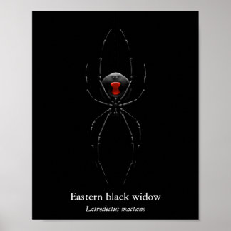 Schwarze Witwenspinnenposter (Halbglanz) Poster