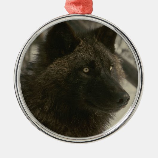Schwarze Wolf-Weihnachtsverzierung Silbernes Ornament (Vorne)