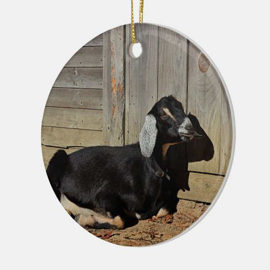 Schwarze Ziege Keramikornament (Links)