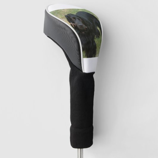 schwarzenglische Cocker spaniel full 2 Golf Headcover (angewinkelt)