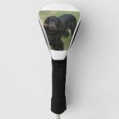 schwarzenglische Cocker spaniel full 2 Golf Headcover (Vorderseite)