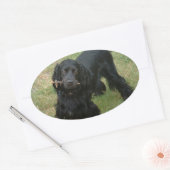 schwarzenglische Cocker spaniel full 2 Ovaler Aufkleber (Umschlag)
