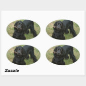 schwarzenglische Cocker spaniel full 2 Ovaler Aufkleber (Blatt)
