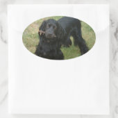 schwarzenglische Cocker spaniel full 2 Ovaler Aufkleber (Tasche)