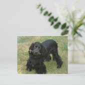 schwarzenglische Cocker spaniel full 2 Postkarte (Stehend Vorderseite)