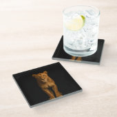 Schwarzer 4 Luxe Glas Untersetzer, Edle Löwin Glasuntersetzer (Schrägansicht)