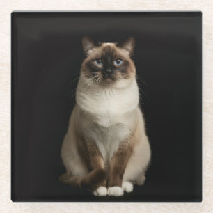 Schwarzer 4 Luxe Glasuntersetzer, Birma-Katze Glasuntersetzer