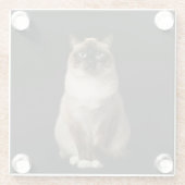 Schwarzer 4 Luxe Glasuntersetzer, Birma-Katze Glasuntersetzer (Rückseite)