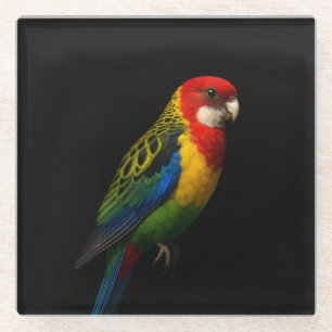 Schwarzer 4 Luxe Glasuntersetzer, Eastern Rosella Glasuntersetzer