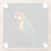 Schwarzer 4 Luxe Glasuntersetzer, Eastern Rosella Glasuntersetzer (Rückseite)