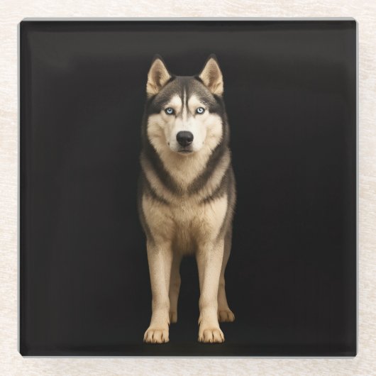 Schwarzer 4 Luxe Glasuntersetzer, Icy Elite Husky Glasuntersetzer (Vorderseite)