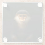 Schwarzer 4 Luxe Glasuntersetzer, Rotohrlangur Glasuntersetzer (Rückseite)