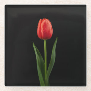 Schwarzer 4 Luxe Glasuntersetzer, Rubinrote Tulpe Glasuntersetzer