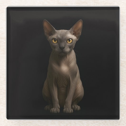 Schwarzer 4 Luxe Glasuntersetzer, Sphynx-Katze Glasuntersetzer (Vorderseite)