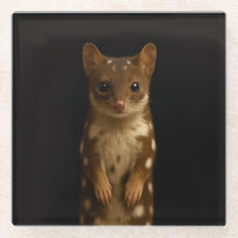 Schwarzer 4 Luxe Glasuntersetzer, Sweet Quoll