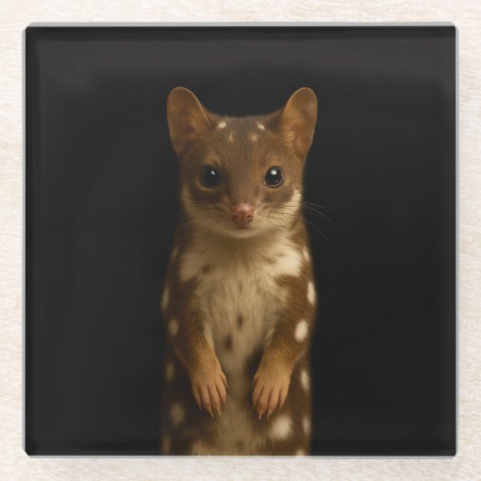 Schwarzer 4 Luxe Glasuntersetzer, Sweet Quoll Glasuntersetzer (Vorderseite)