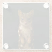 Schwarzer 4 Luxe Glasuntersetzer, Sweet Quoll Glasuntersetzer (Rückseite)