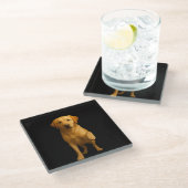 Schwarzer 4 Luxe Glasuntersetzer, Zarter Labrador Glasuntersetzer (Schrägansicht)
