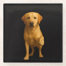 Schwarzer 4 Luxe Glasuntersetzer, Zarter Labrador