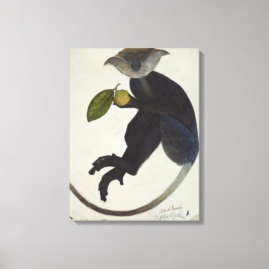 Schwarzer Affe Leinwanddruck (Vorderseite)