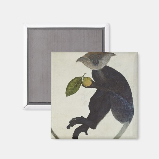 Schwarzer Affe Magnet (Vorderseite/Rückseite)