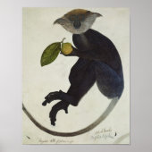 Schwarzer Affe Poster (Vorne)