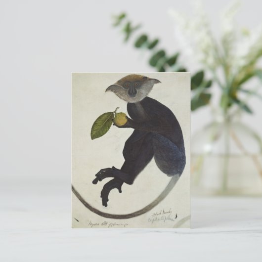 Schwarzer Affe Postkarte (Stehend Vorderseite)