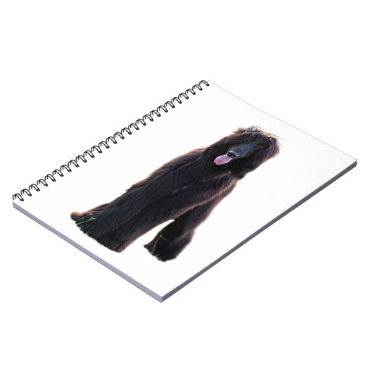 Schwarzer Afghane Notizblock (Linke Seite)