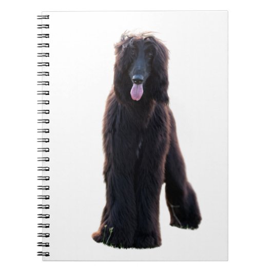 Schwarzer Afghane Notizblock (Vorderseite)