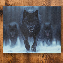 Schwarzer Alpha Wolf im Schnee laufen