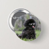 Schwarzer älterer Spitz Button (Vorne & Hinten)