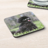 Schwarzer älterer Spitz Getränkeuntersetzer (Linke Seite)